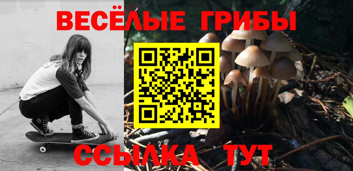 Галлюциногенные грибы мицелий Чехов