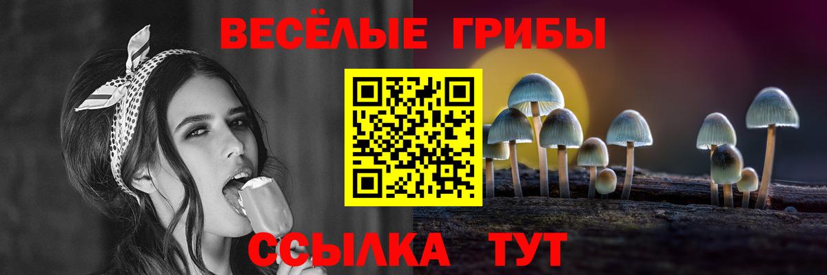 Псилоцибиновые грибы прущие грибы  Вход с VPN  Чехов 