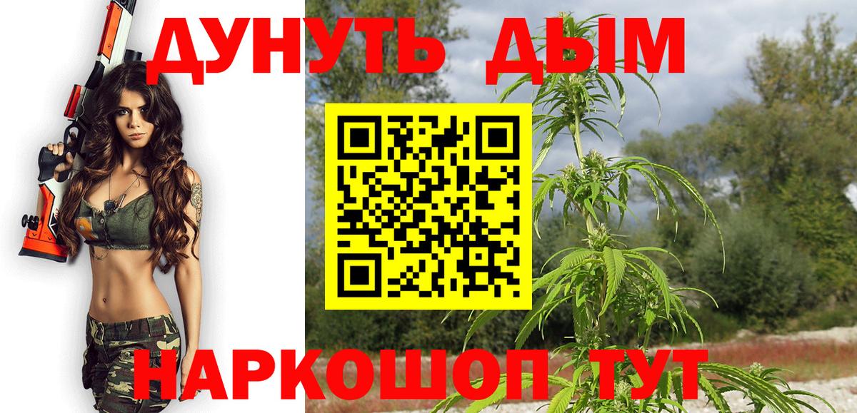 Шишки марихуана план  Бошки марихуана конопля  Вход с VPN  Чехов  Шишки марихуана марихуана 